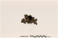 藏品(淡綿腹衣)的圖片